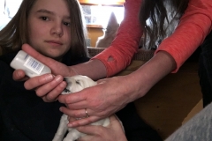 Yellow needs a little extra milk