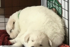 Claiming the best spot