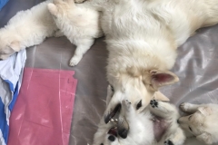 42F73C88-F695-4BAB-B54F-D2D3B2D59B3B