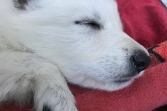 8747DF1C-909A-4982-9F2F-86686183BFEB