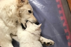 445E55B4-2B8A-4E7E-8104-ABE7787B595D