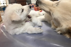 CB8C8E47-116F-4DAF-9AC5-090D72D7B94B