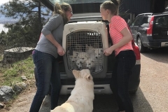 135F591E-544D-437B-A64C-B6CE97732AAB