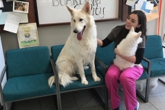 2B515DDE-66E7-4FC6-9D62-53BC4AD988AF