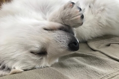 68EFAA0F-C19F-47E5-9DDF-3F12E0DCDCA1