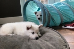 793E213D-89CD-4610-9059-E182388B0276