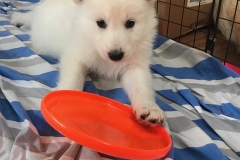 7F4BC478-3C5C-44F9-8333-F252FC4B9EBD