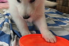 9A19C8CF-CC6F-4918-BDE0-7184993D3F20