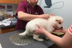 9CE17F01-ED6C-40E5-BAEB-EB43933552D3