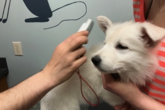 9D28749C-4EBB-4FDB-B833-7F4F625C5134