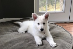 A71B59AB-016F-4A16-8220-948908BBD980