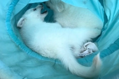 A74F2796-03A4-4D7C-8DC3-B66F7657C747