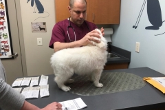 A83FBE2D-82D2-43A2-BBD2-940858D1DA6E