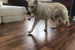 ABC8FAB1-5947-49FC-B3A8-ACEB7AC0FD3E