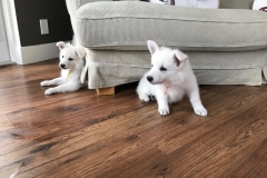 AD513520-F7AA-4E48-B288-147F8F6C9301