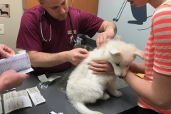 C0438F63-BE46-452A-A56C-90E52703525C