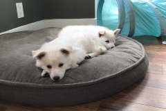 C2E8C616-C1DF-42C7-AA89-E03B3E6FCEA3