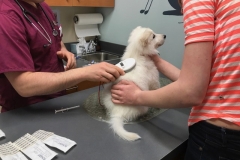 DF3FD0BD-165D-497F-859D-F107B999078C