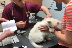 FE31727B-24B1-4E80-B7FC-5AE3F67769AD