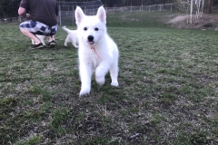 E604FEBB-8B65-4A59-B33B-3D8A0F8C38A9