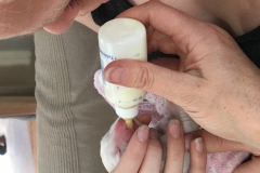 6:24-feeding bottle