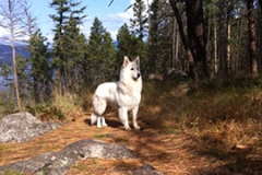 Kenai at Ellison Park Small Kenai at Ellison Park Small