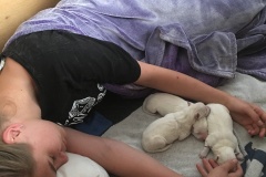 Emilie-falling-asleep-with-D-litter