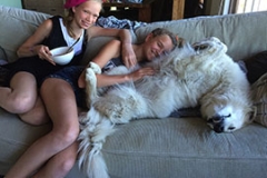 Nita prior to puppies 2