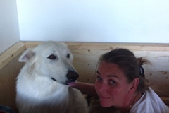 Nita prior to puppies