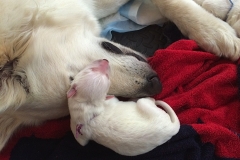 22-2. Nita and Purple 2