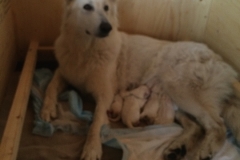 23-05 Nita's wondering what the girls are doing