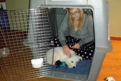 2) Carl and Jennifer Saville - All about Blue -Brodie -D.Blue