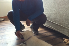 3) Alex and Hyeonsuk Kim - Alexis - Pink