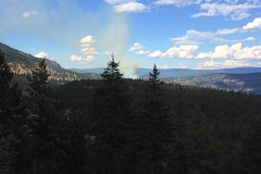 Bear Creek Forest Wildfire