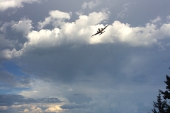 Bear Creek Forest Wildfire