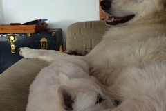 Little extra feeding for Red and Pink