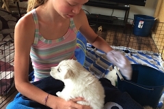 Frederieke washing puppies