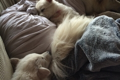 Nita having quality time with Purple, black and Red