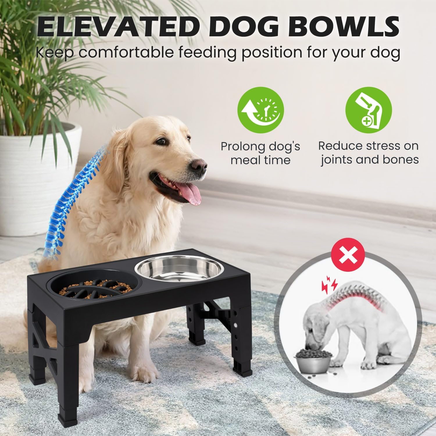 Heeyoo Elevated Slow Feeder Dog Bowls 3