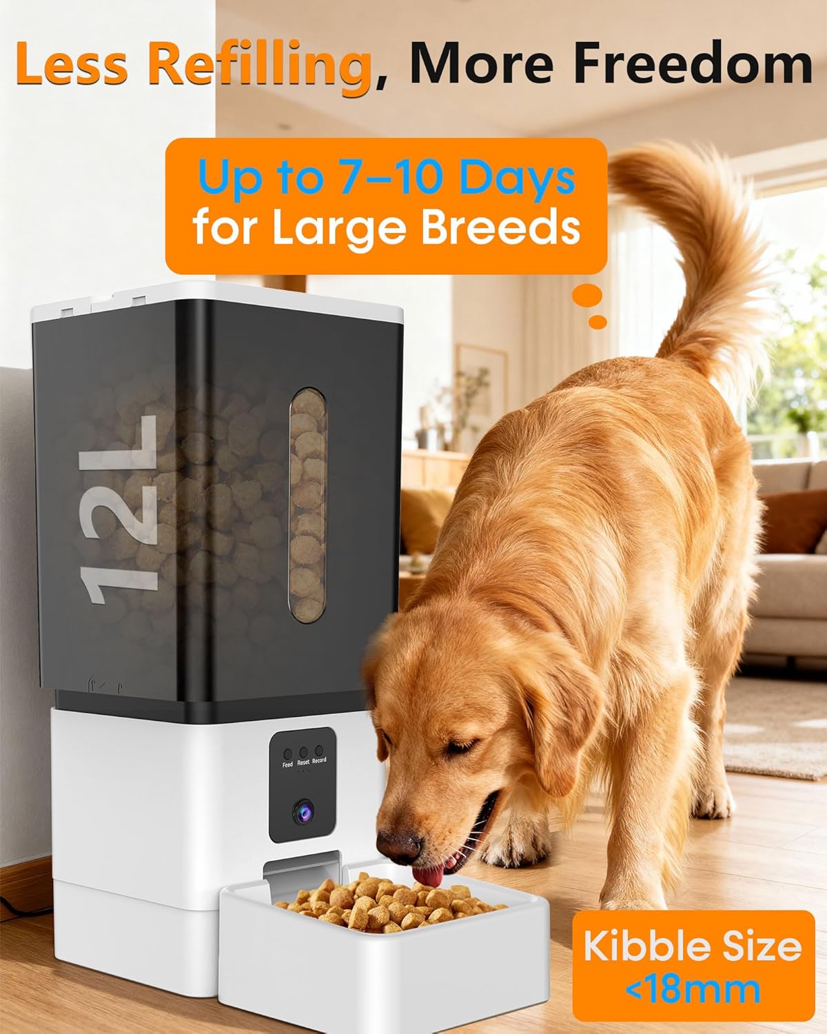 UTCG large breed automatic dog feeder 1