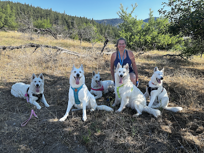 Me and my pack of WSS